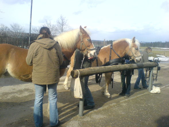 Edelhof-AbschlussKlasse - 