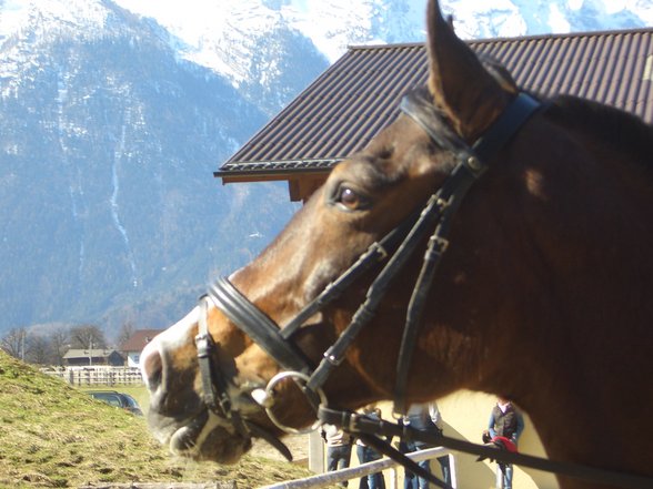 Mein Pferd und ich - 