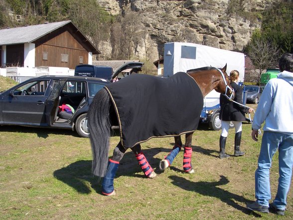 Mein Pferd und ich - 