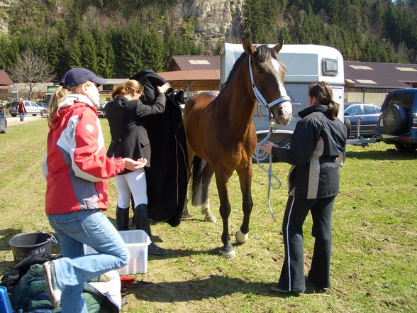 Mein Pferd und ich - 