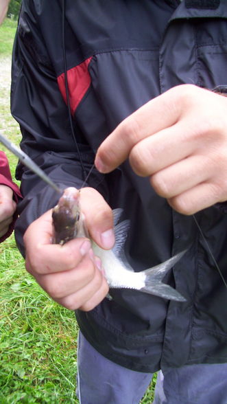 Fischen im Neumarkter Teich - 