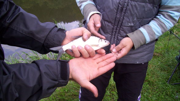 Fischen im Neumarkter Teich - 