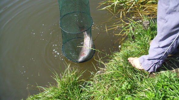 Fischen im Neumarkter Teich - 