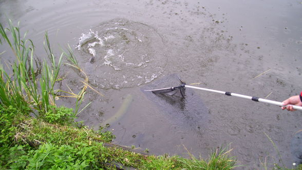 Fischen im Neumarkter Teich - 