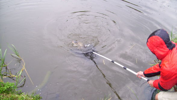 Fischen im Neumarkter Teich - 