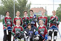 Ice Cats - 