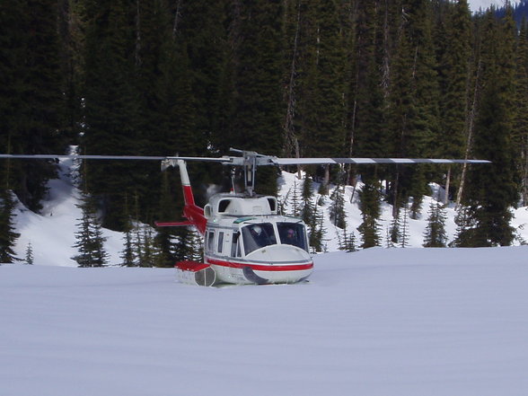 Heli Skiing - 