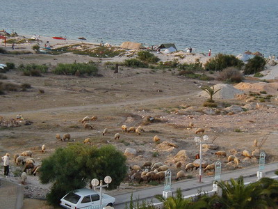 Port el Kantaoui - Tunesien - 