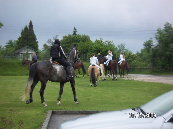 Hochzeit Bea und Geri - 