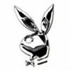 playboy-hasi - 