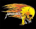 >>>>>>>metallica< - 