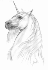 Pferde - 