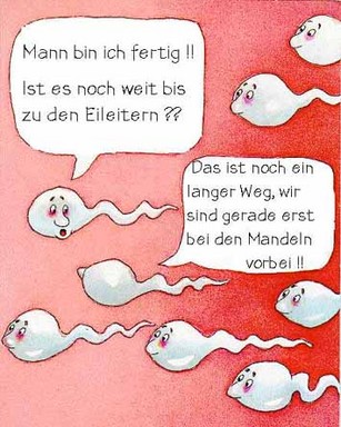 einfach bilder - 