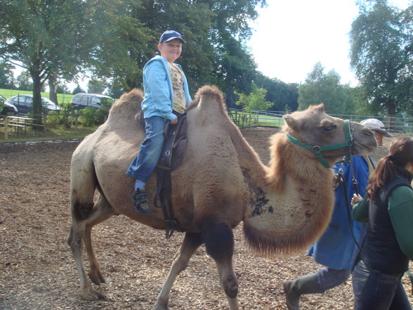 Tierpark Schmiding/Walding - 