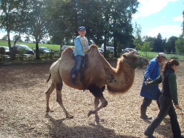 Tierpark Schmiding/Walding - 