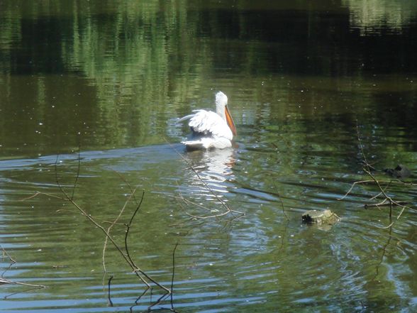 Tierpark Schmiding/Walding - 