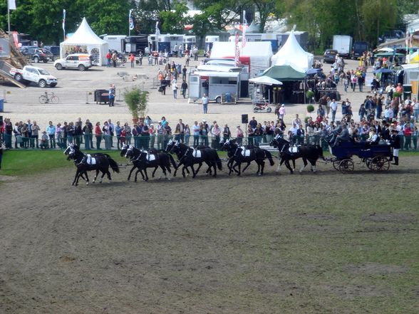 München Pferdemesse 08 - 