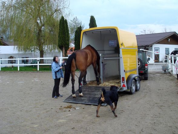 larry in salzburg - 