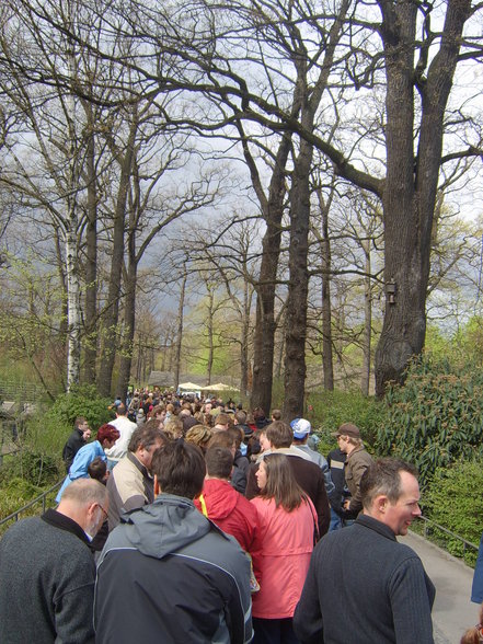 Zoologischer Tiegarten Berlin - 