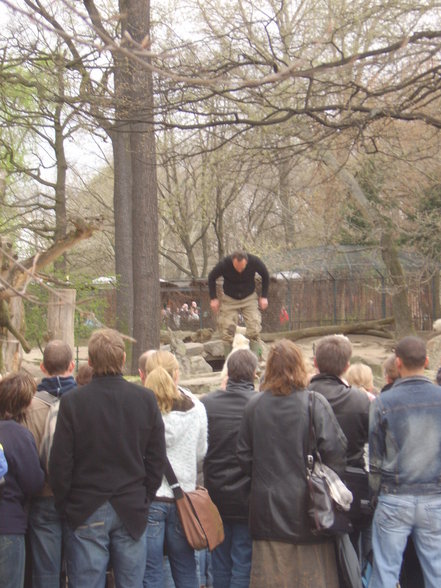 Zoologischer Tiegarten Berlin - 