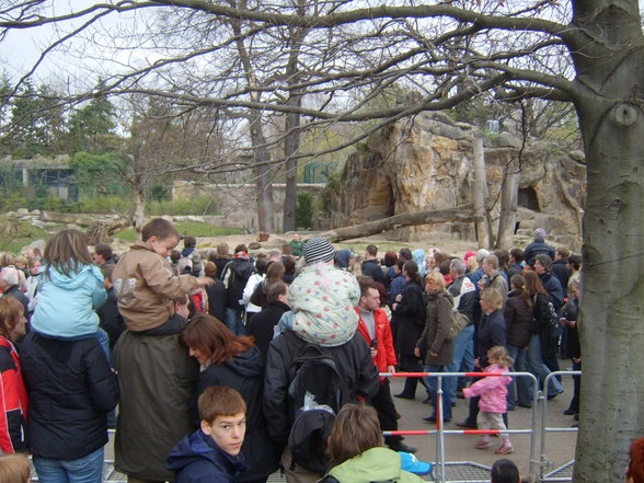 Zoologischer Tiegarten Berlin - 