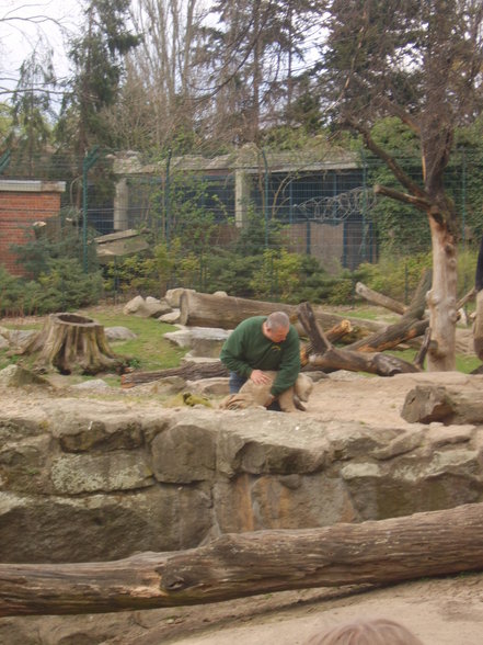 Zoologischer Tiegarten Berlin - 