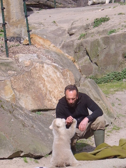 Zoologischer Tiegarten Berlin - 