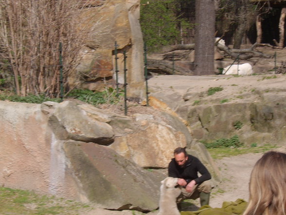 Zoologischer Tiegarten Berlin - 