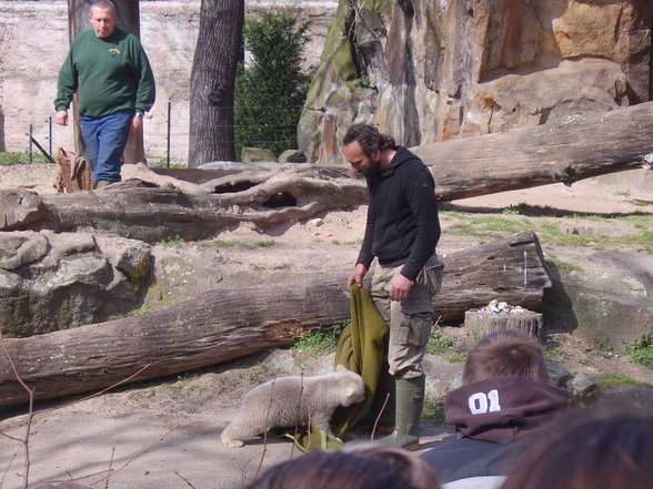 Zoologischer Tiegarten Berlin - 