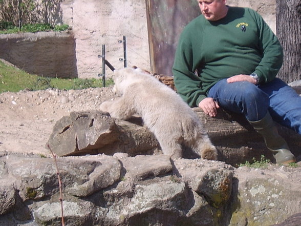 Zoologischer Tiegarten Berlin - 