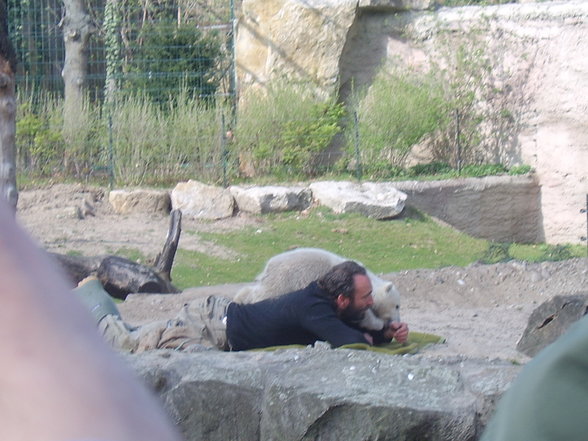 Zoologischer Tiegarten Berlin - 