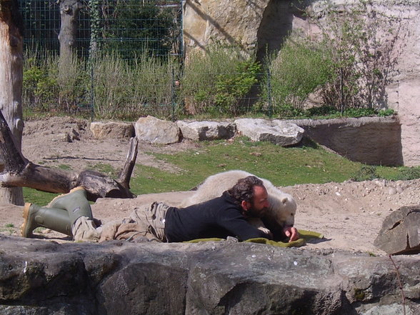 Zoologischer Tiegarten Berlin - 