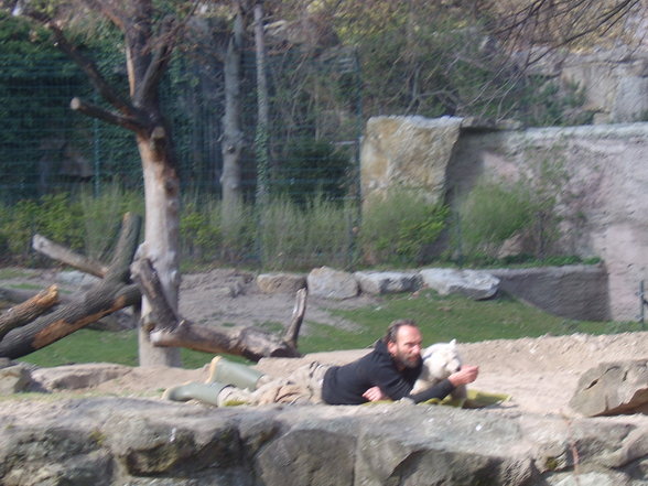 Zoologischer Tiegarten Berlin - 