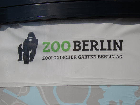 Zoologischer Tiegarten Berlin - 