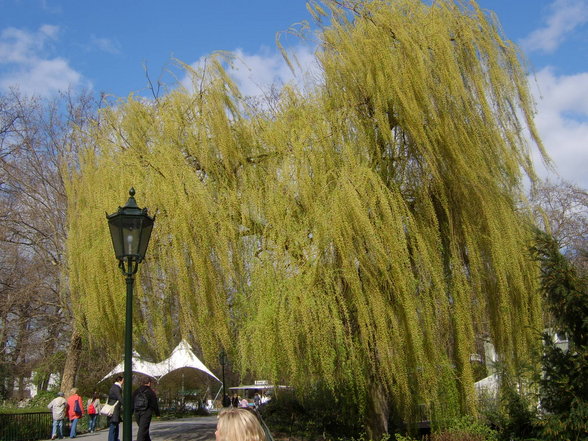 Zoologischer Tiegarten Berlin - 