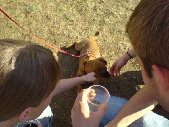 Weinfest in Potsdam... (06/05/2007) - 