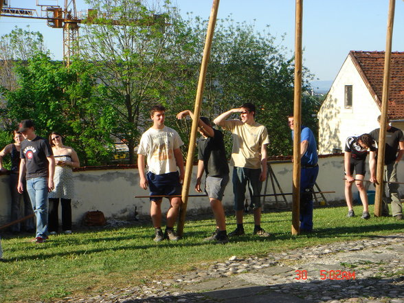 Maibaum aufstellen bei mir daham - 