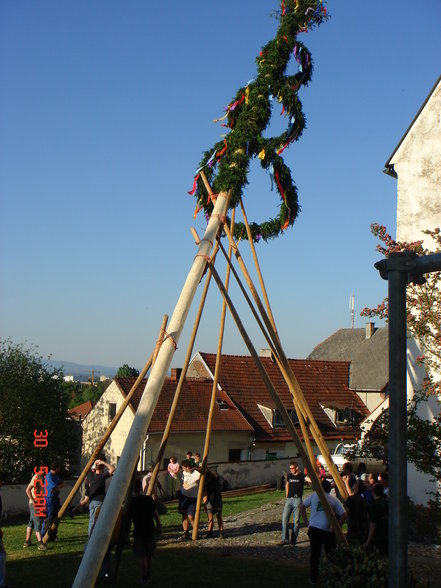 Maibaum aufstellen bei mir daham - 