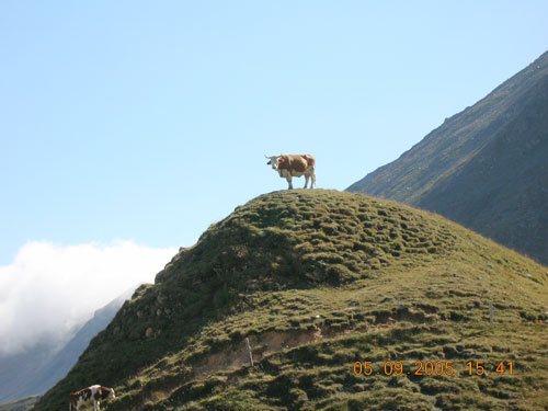 Großglockner - 