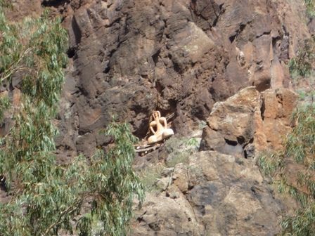 Gran Canaria - 