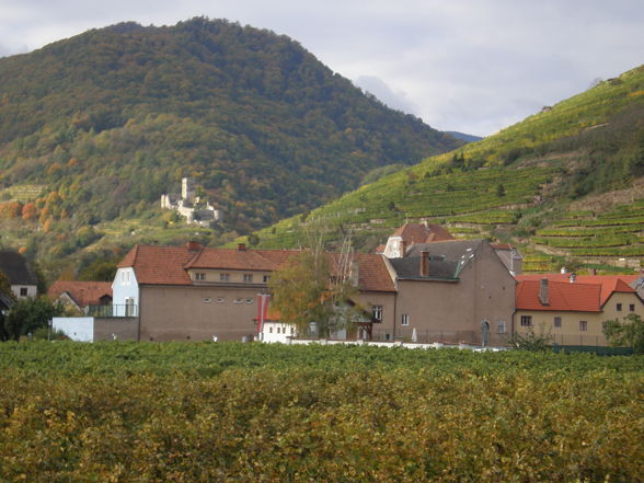 Wachau - 