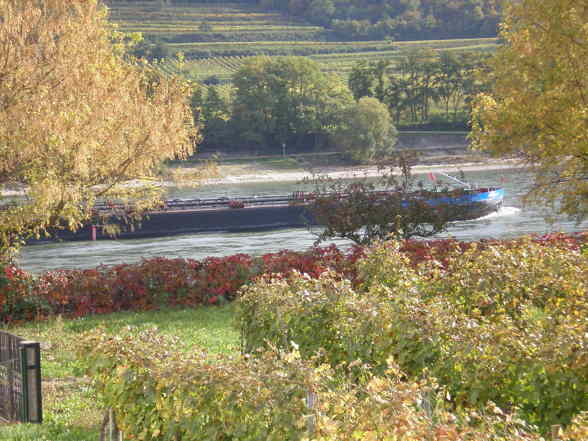 Wachau - 