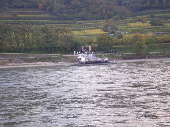 Wachau - 