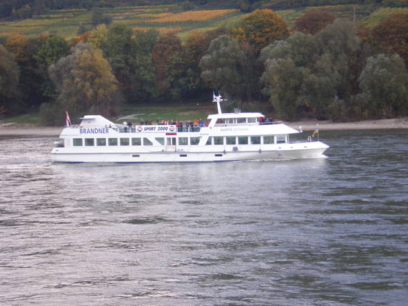 Wachau - 