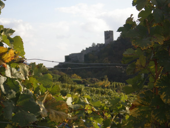 Wachau - 