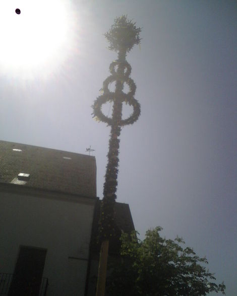 Maibaum09 - 