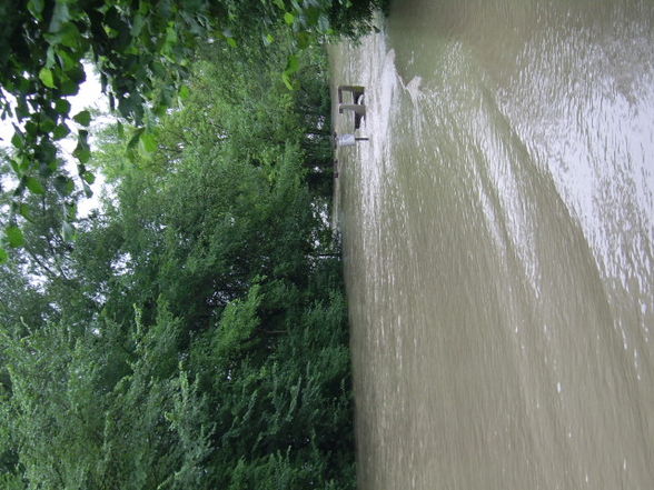 Hochwasser 2009 Enns und Sankt Nikola - 