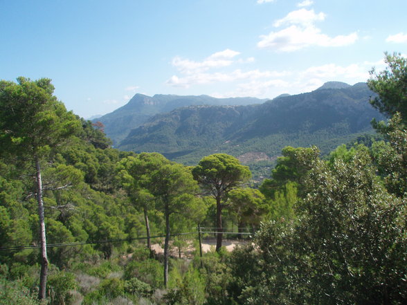 Mallorca Urlaub - 