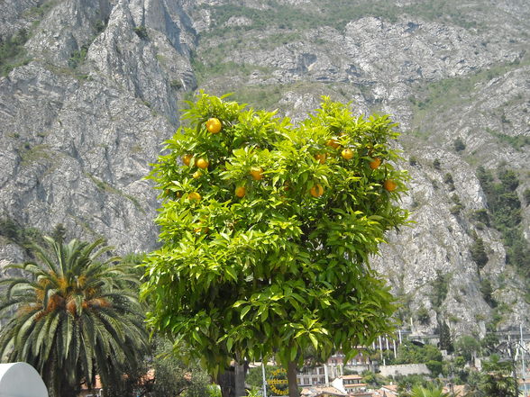 Lago di Garda Italia `o9 - 