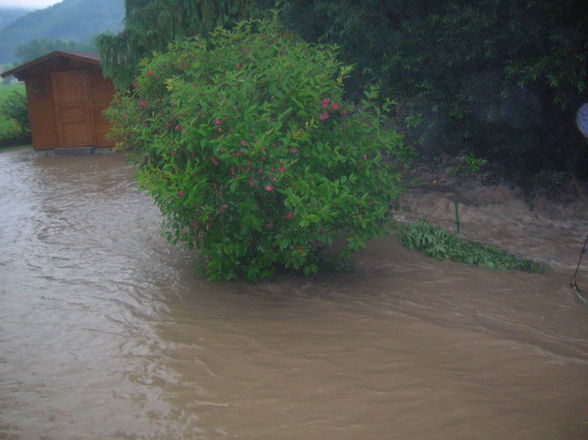 HOCHWASSER 24.6.09. - 